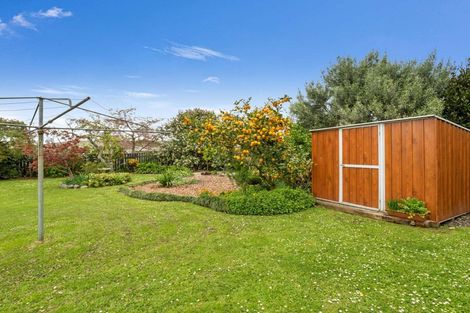 Photo of property in 113 Stanford Street North, Ashhurst, 4810