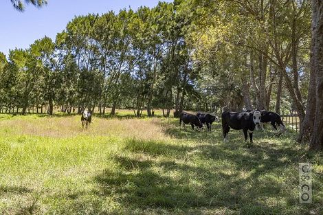 Photo of property in 306 Taiapa Road, Muriwai, 0881