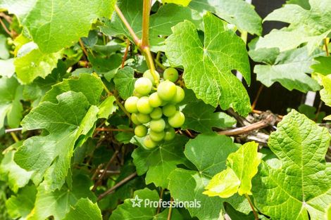 Photo of property in 2/6 Gemstone Drive, Birchville, Upper Hutt, 5018