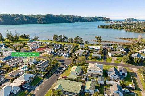 Photo of property in 103 Everitt Crescent, Whangamata, 3620