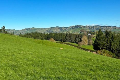 Photo of property in 235 Norwegian Road, Rotoorangi, Cambridge, 3495