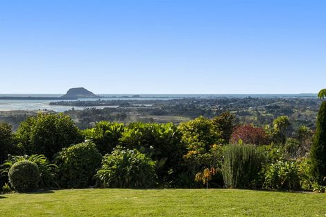 Photo of property in 16 Dawn View Place, Minden, Tauranga, 3176