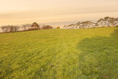 Photo of property in 39c Rowe Road, Ohauiti, Tauranga, 3173