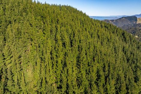 Photo of property in 184 Blue Duck Valley Road, Seaward Valley, Kaikoura, 7371