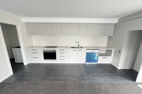 Photo of property in 101 Daniell Street, Newtown, Wellington, 6021