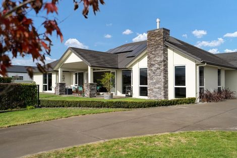 Photo of property in 13 Alan Livingston Drive, Cambridge, 3434