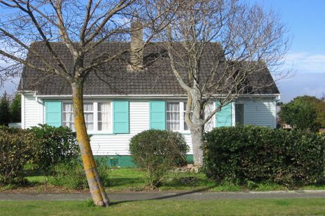 Photo of property in 82 Manson Street, Terrace End, Palmerston North, 4410