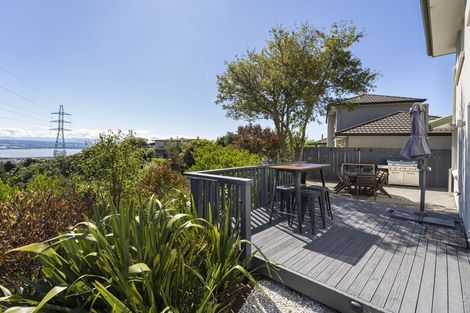 Photo of property in 180 Panorama Drive, Enner Glynn, Nelson, 7011