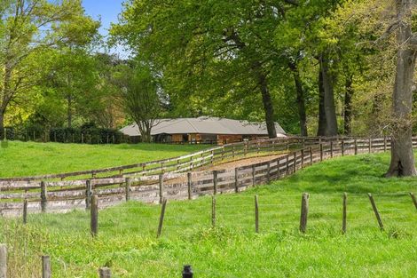 Photo of property in 81c Horrell Road, Morrinsville, 3374