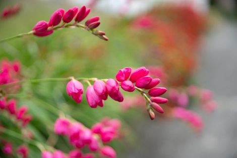 Photo of property in 38 Sidlaw Street, Strathmore Park, Wellington, 6022