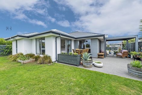 Photo of property in 100 Sunline Avenue, Lincoln, 7608