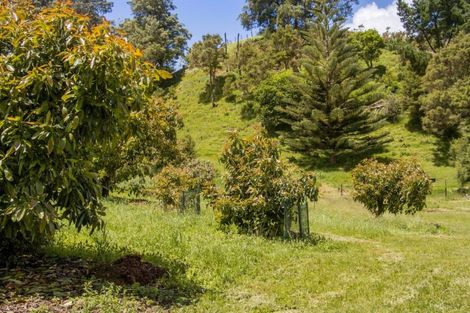 Photo of property in 520 Wright Road, Aongatete, Katikati, 3181