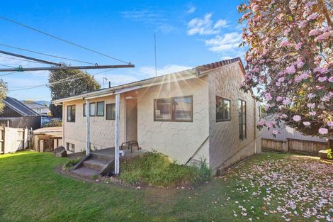 Photo of property in 78a Cameron Road, Te Puke, 3119