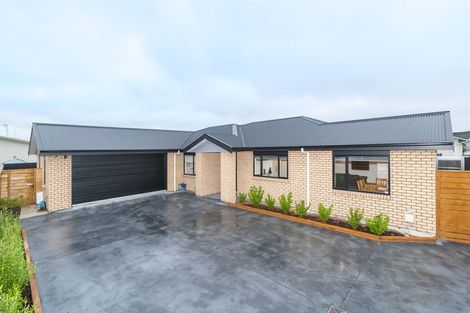 Photo of property in 16 Douglas Street, West End, Palmerston North, 4412
