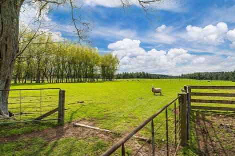Photo of property in 367 Rawhiti Road, Reporoa, 3081