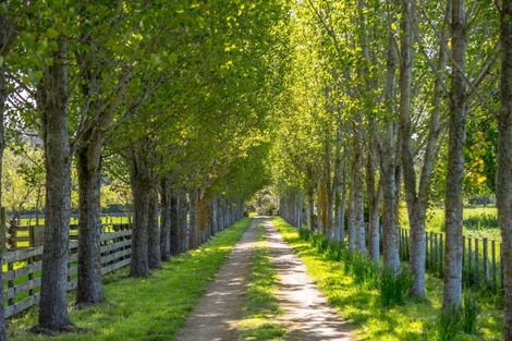 Photo of property in 186a Te Whiti Road, Homebush, Masterton, 5885