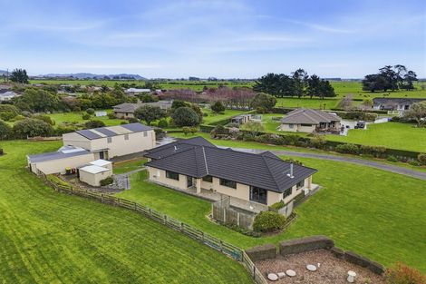 Photo of property in 53 Pohutukawa Drive, Levin, 5571