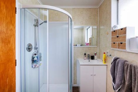 Photo of property in 20 Fitzroy Street, Terrace End, Palmerston North, 4410