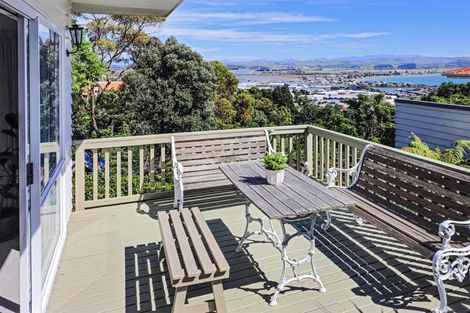 Photo of property in 10 Coleman Terrace, Hospital Hill, Napier, 4110