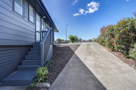 Photo of property in 9 Spinifex Road, Mangawhai Heads, Mangawhai, 0505