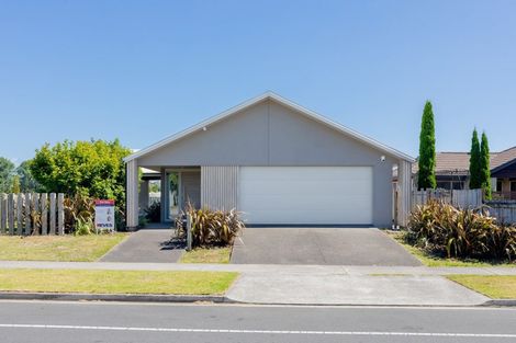 Photo of property in 299 Carmichael Road, Brookfield, Tauranga, 3110