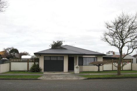 Photo of property in 103 Winchester Street, Levin, 5510