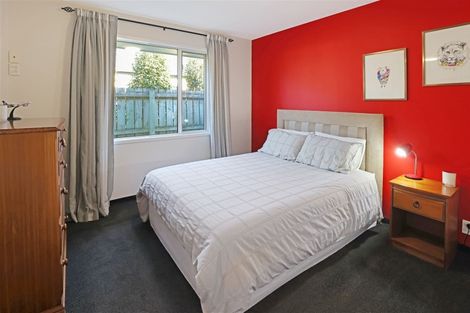 Photo of property in 17 Trellech Place, Allenton, Ashburton, 7700