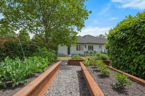 Photo of property in 7 Dry Hills Rise, Riverlands, Blenheim, 7274