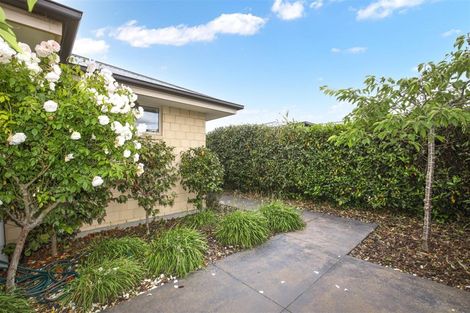 Photo of property in 25 Seddon Street, Sydenham, Christchurch, 8023