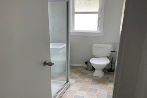 Photo of property in 27 Arlington Street, Mount Cook, Wellington, 6011