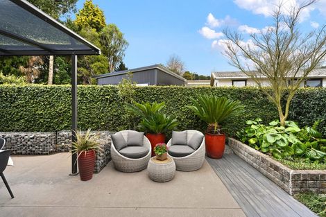 Photo of property in 2/50 Kowhai Street, Hamilton Lake, Hamilton, 3204