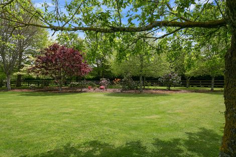 Photo of property in 18 Everad Avenue, Matamata, 3472