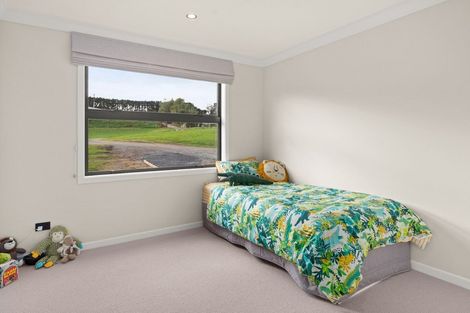 Photo of property in 205 Henry Road, Tahawai, Katikati, 3170