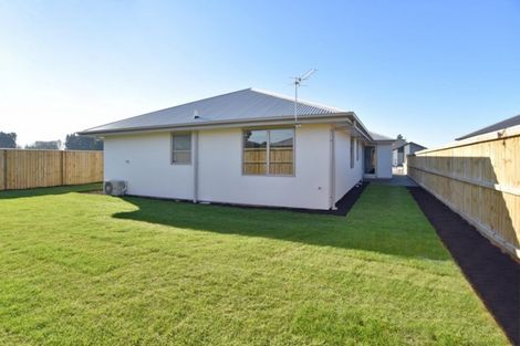 Photo of property in 7 Clegg Street, Woodend, 7610