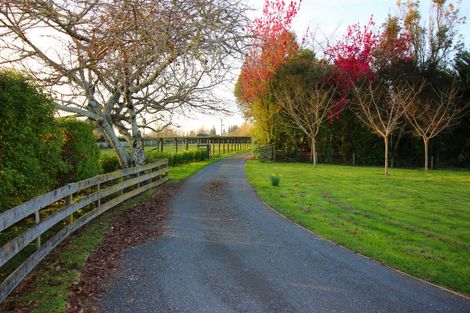 Photo of property in 258 Thornton Road, Cambridge, 3496