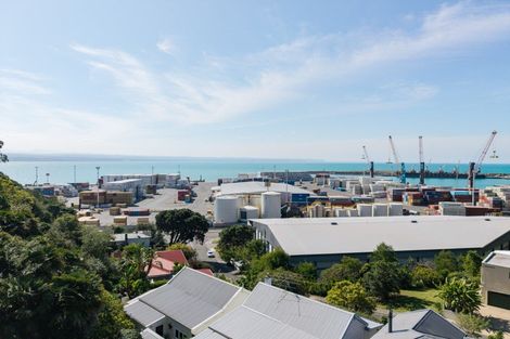 Photo of property in 15 Hornsey Road, Bluff Hill, Napier, 4110