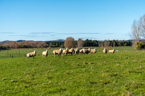 Photo of property in 64b Opaki Kaiparoro Road, Opaki, 5871