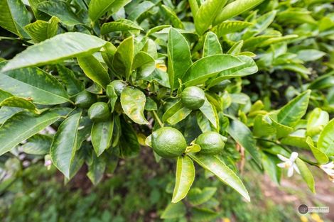 Photo of property in 2/95 Clouston Park Road, Clouston Park, Upper Hutt, 5018