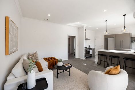 Photo of property in 11 Park Terrace, Hamilton Central, Hamilton, 3204