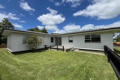Photo of property in 39 James Henry Crescent, Huntly, 3700