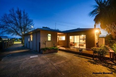 Photo of property in 481 Ruahine Street, Terrace End, Palmerston North, 4410