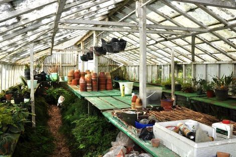 Photo of property in 244 Matakohe West Road, Matakohe, 0594