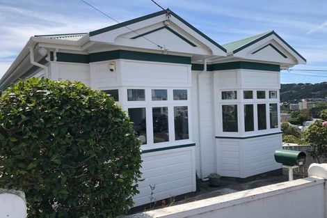 Photo of property in 20 Carrington Street, Mount Cook, Wellington, 6021