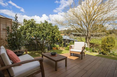 Photo of property in 41 Shaw Avenue, Paeroa, 3600