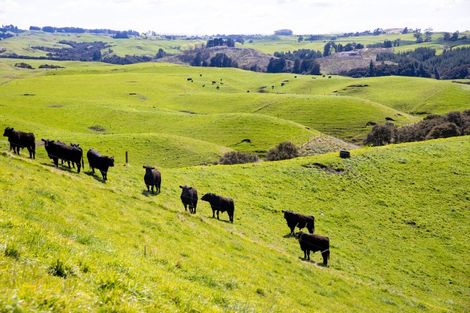 Photo of property in 814 Crownthorpe Sett Road, Crownthorpe, Hastings, 4179