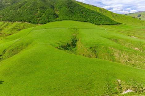 Photo of property in 157 Williams Road, Muriwai, Gisborne, 4072