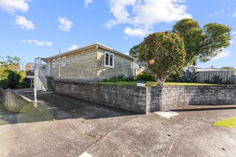 Photo of property in 12 Barclay Street, Ferndale, New Plymouth, 4310