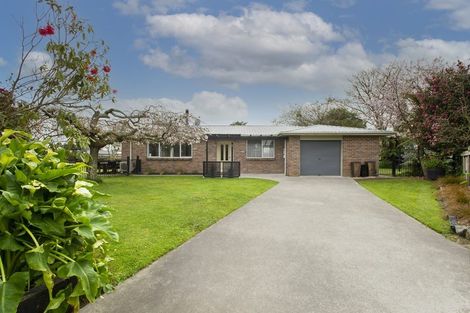 Photo of property in 14 Wrigley Place, Matamata, 3400
