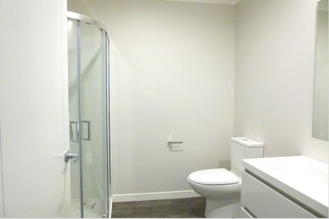 Photo of property in 3/25 Thackeray Street, Hamilton Lake, Hamilton, 3204