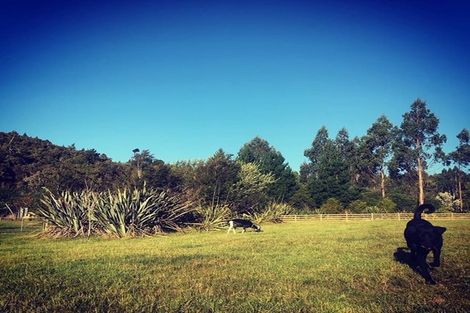 Photo of property in 379 Blue Spur Road, Blue Spur, Hokitika, 7882